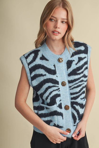 Tiger Stripe Sweater Vest: Blue