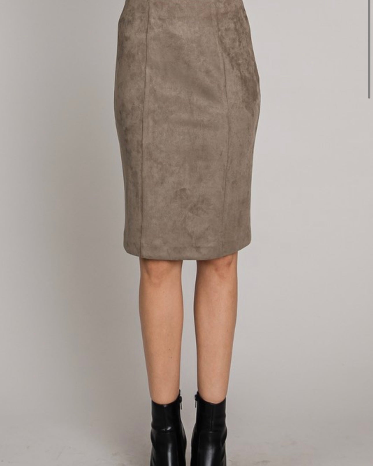 Princess Seamed Fitted Skirt